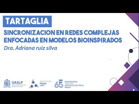 Sincronización en redes complejas enfocadas en modelos bioinspirados - Dra. Adriana  Ruiz Silva - YouTube