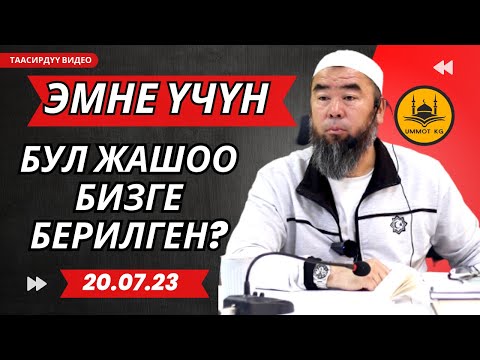 Video: Эмне үчүн бул каткалдоо деп аталат?