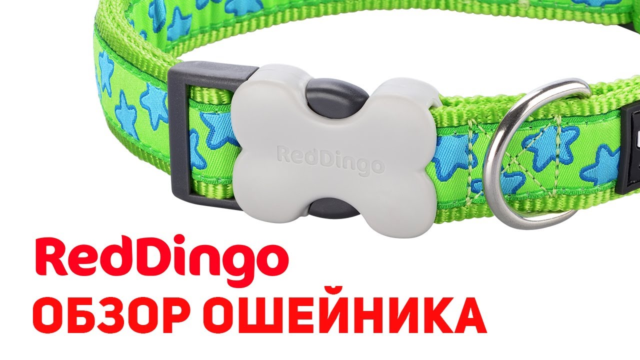 Обзор ошейника Red Dingo: стиль, удобство и надежность!