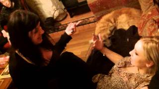 Girls Say...well Gemma And Krystie?