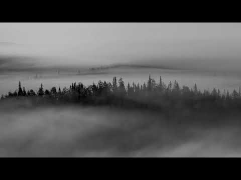 dan balan – лишь до утра (slowed + reverb)