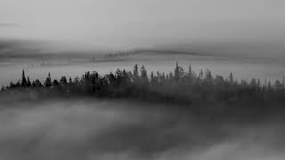 видео: dan balan – лишь до утра (slowed + reverb) картинка: dan balan – лишь до утра (slowed + reverb)