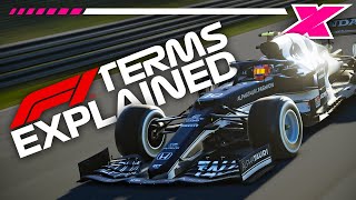 F1 Game Terms Explained!