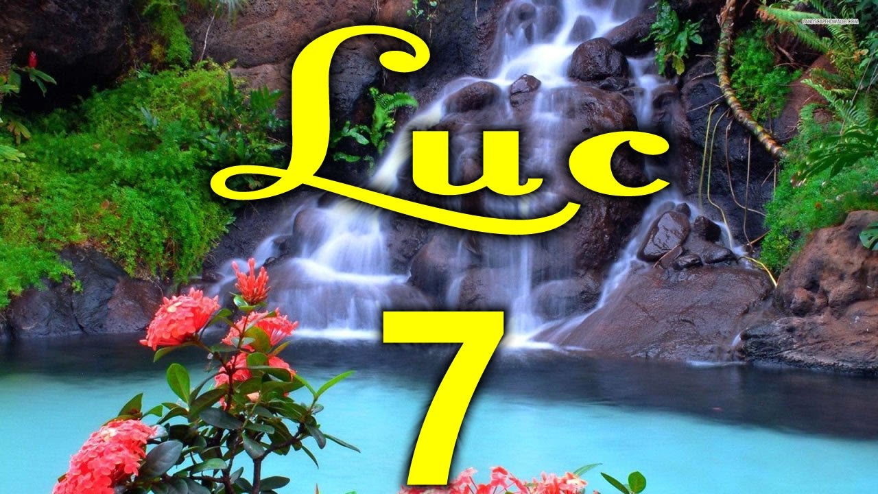 Évangile selon Luc - Chapitre 7 (Version Louis Segond révisée - Colombe - 1978)