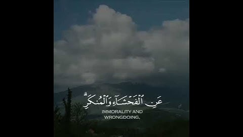 إِنَّ الصلاة تنهى عن الفحشاء والمنكر // تلاوة القرآن الكريم بصوت عبد الرحمن مسعد