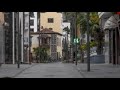 El gatito Toto  Viviana Vélez © todos los derechos reservados