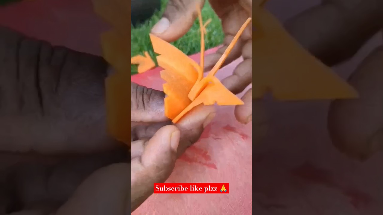 carrot betterfly craving 