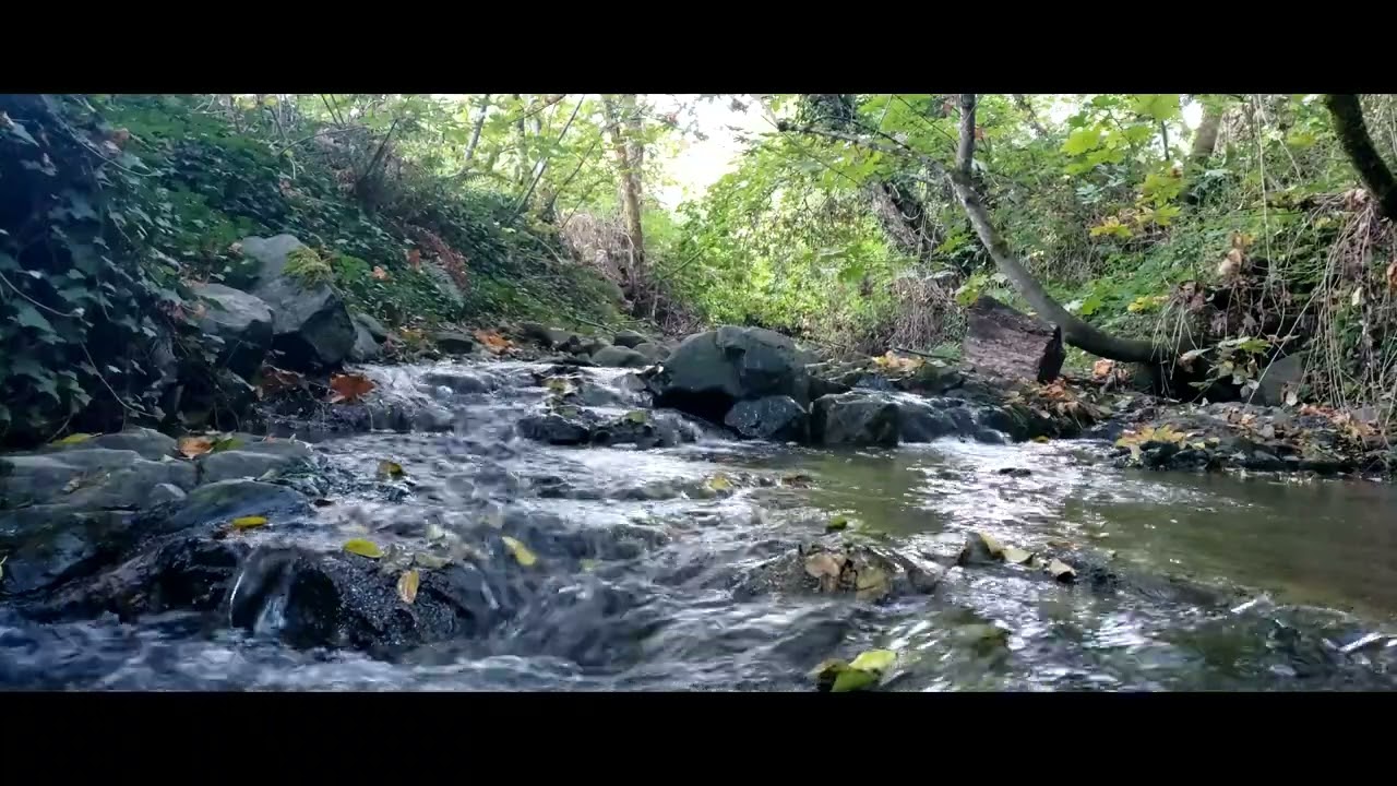 Secluded creek in town for 3 hours. 