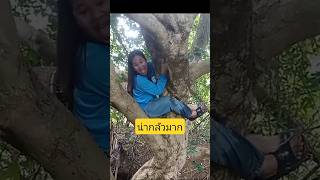 #คลายเครียด #funny #comedy #คลิปตลก