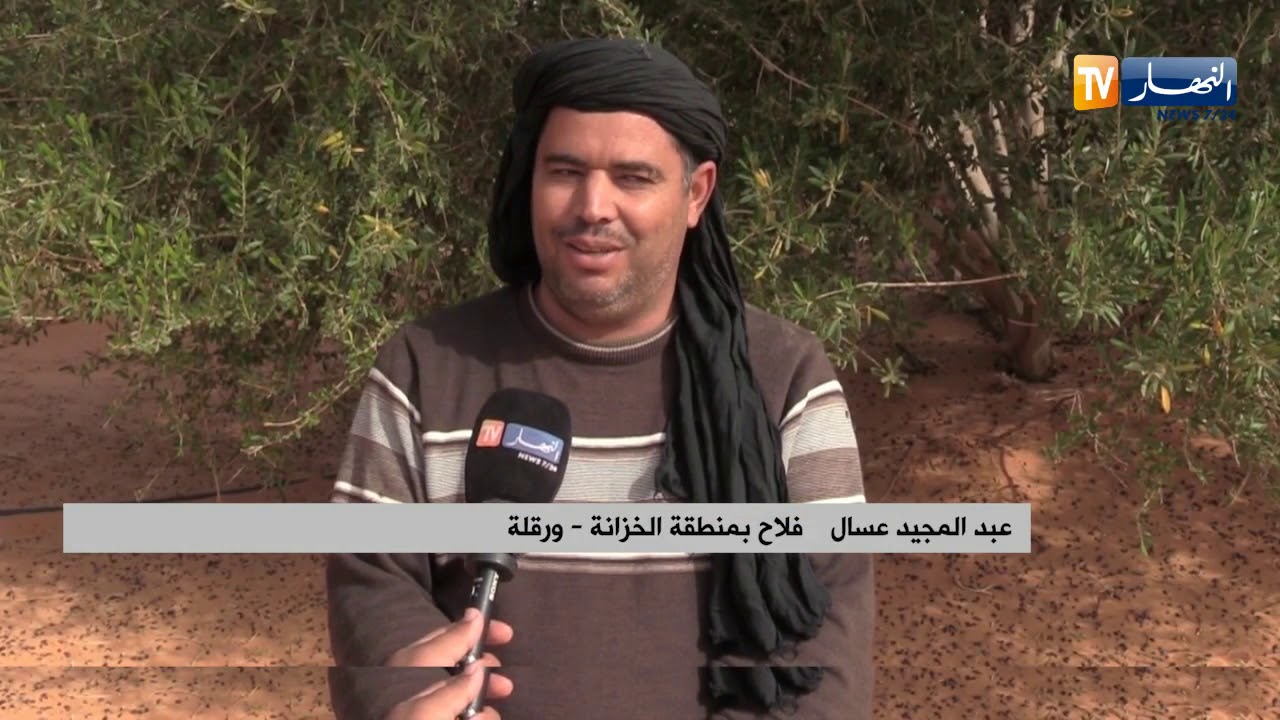 ورقلة/ فلاحو منطقة الخزانة يطالبون بدعم السلطات وإنقاذ نشاطهم الفلاحي