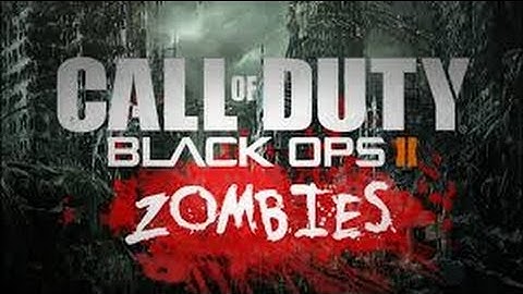 Black ops 1 Zombie mods (Offline With USB)