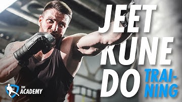 Jeet Kune Do Focus Mitt Training