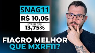 SNAG11: OPORTUNIDADE OU RISCO? ANÁLISE COMPLETA DO FUNDO