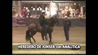 Medalla Del Guatapurí Hija De Heredero del Guatapurí, Remate de las Estrellas