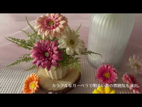動画