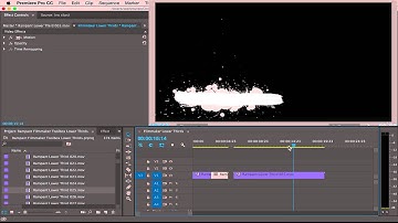 How to Use Rampant Filmmaker Toolbox Lower Thirds in Adobe Premiere Pro
