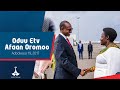 Oduu Etv Afaan Oromoo Adoolessa 19 2017 1 00 Ebc Etv Afaan Oromoo Oduu Etv Afaan Oromoo Oduu Etv Afaan Oromoo Adoolessa 19 2017 1 00 Ebc Etv Afaan Oromoo Oduu Etv Afaan Oromoo