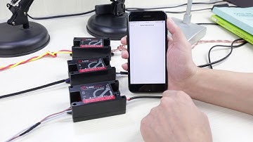 How to rename and control multiple lazybones