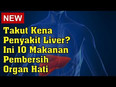 Takut Kena Penyakit Liver? Ini 10 Makanan Pembersih Organ Hati