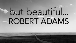 But Beautiful - The photographs of Robert Adams