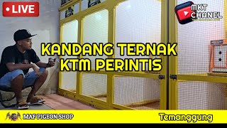 🔴APAKAH ANAK TAPAK BUDHA SUDAH DI JODOHIN??‼️ REVIEW KANDANG TERNAK NEW KTM PERINTIS | TEMANGGUNG