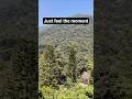 One view, thousand feelings 🌄 #shortsfeed #nature #roadtrips #scenichighway #hillslover #jungle #fun