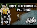 project zomboid tobacco seeds when you don't choose the smoker trait: : r/projectzomboid Found tobacco seeds | Project