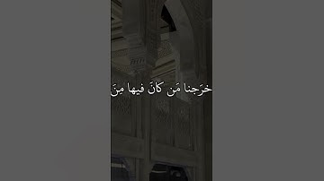 ماهر المعيقلي قران كريم بصوت جميل #تلاوة_قرآن #القرآن_الكريم