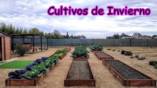 Paseo por el Huerto!! Vemos los Cultivos de Invierno (2.025)