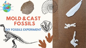 DIY Mold Fossil and Cast Fossil Science Experiment | Understanding of Fossils
