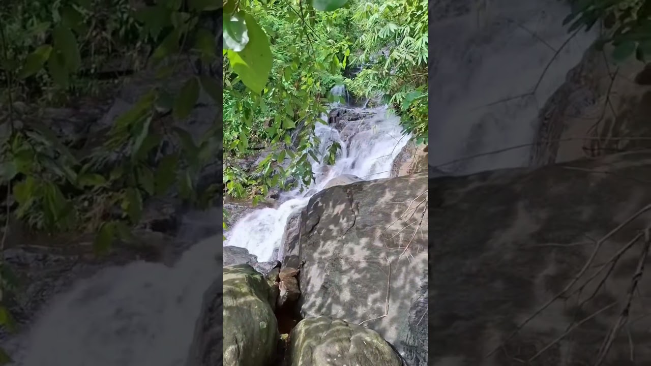 Go with the flow of Nature 🍃