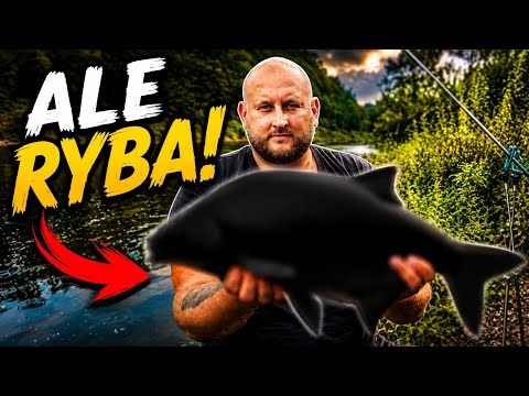 What a catch!! River feeder fishing - carp, bream, catfish, chub