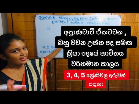 අප්‍රාණවාචී ඒකවචන,බහුවචන උක්ත පද සමඟ ක්‍රියා පදයේ භාවිතය වර්තමාන කාලය - සිංහල ව්‍යාකරණ 5 වන පාඩම