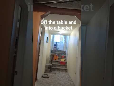 off the table #daboys #funny #memes