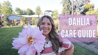 Dahlia Tips and Tricks Care Guide 🌸😍 Rose Dahlia Care