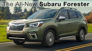 2019 Subaru Forester