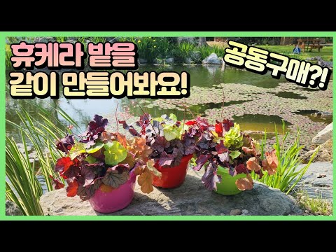 9시간 남았습니다...