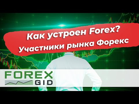 Как устроен Forex? Участники рынка Форекс.