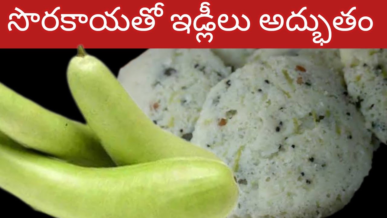 ఎలాంటి పప్పు నానబెట్టకుండా అప్పటికప్పుడు చేసే మెత్తటి ఇడ్లీలు | Bottle Guard Idli Recipe In Telugu