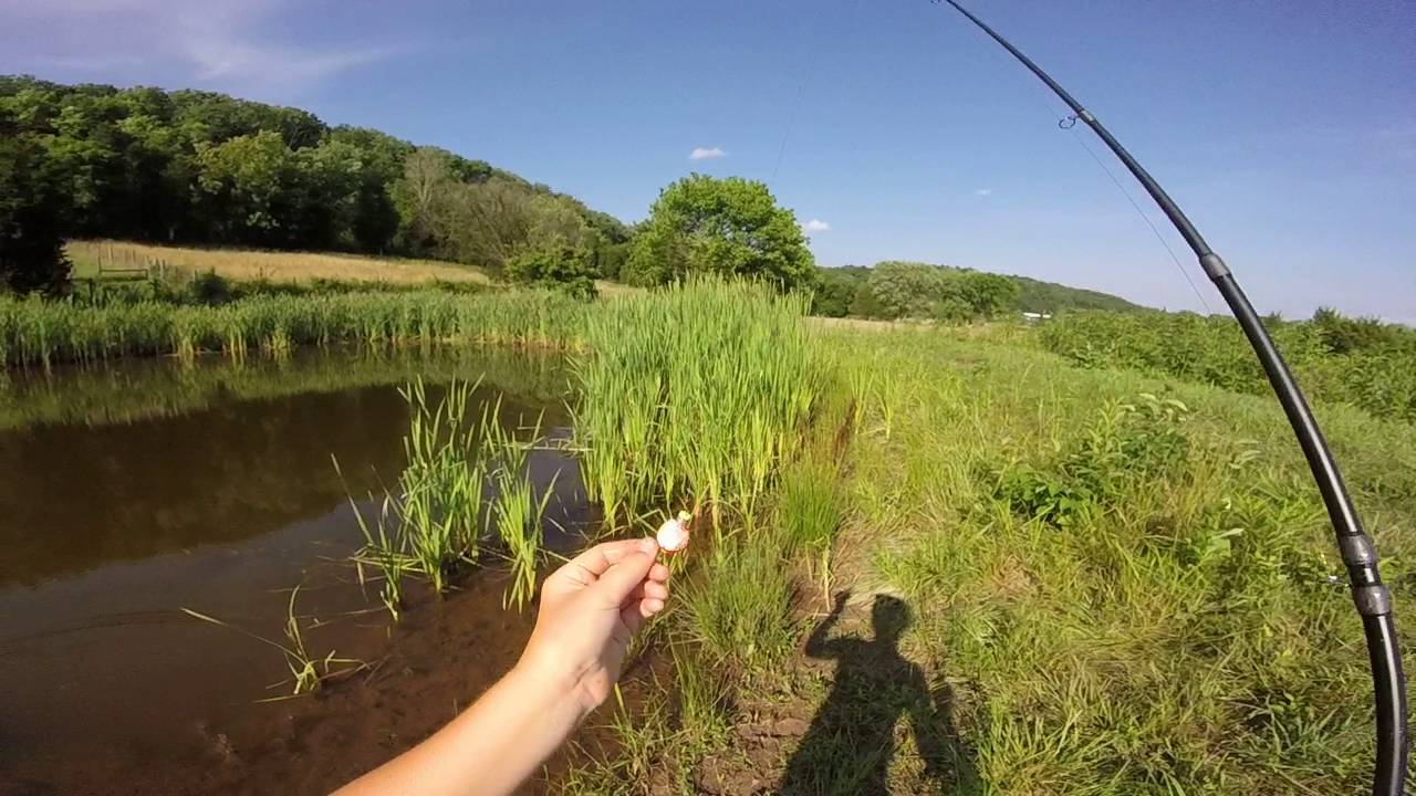 pond fishing YouTube
