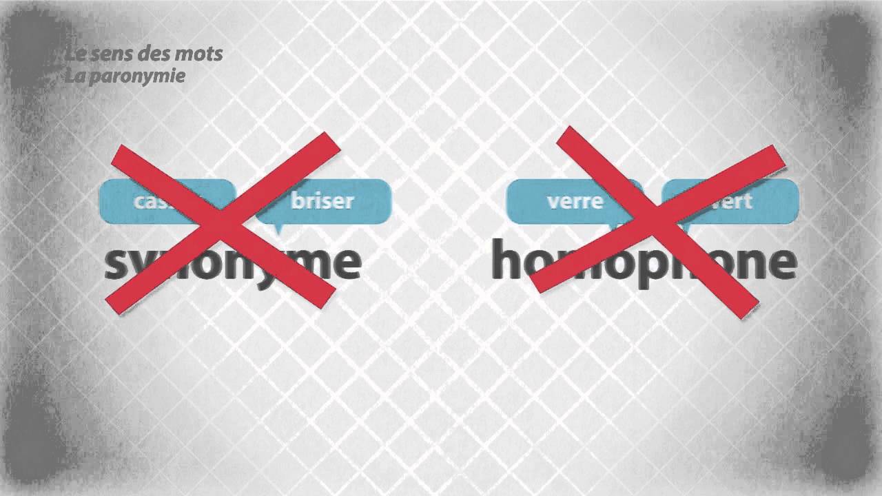Le sens des mots - La paronymie