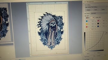 Acrorip 9.0.3 set up settings for Epson L1800