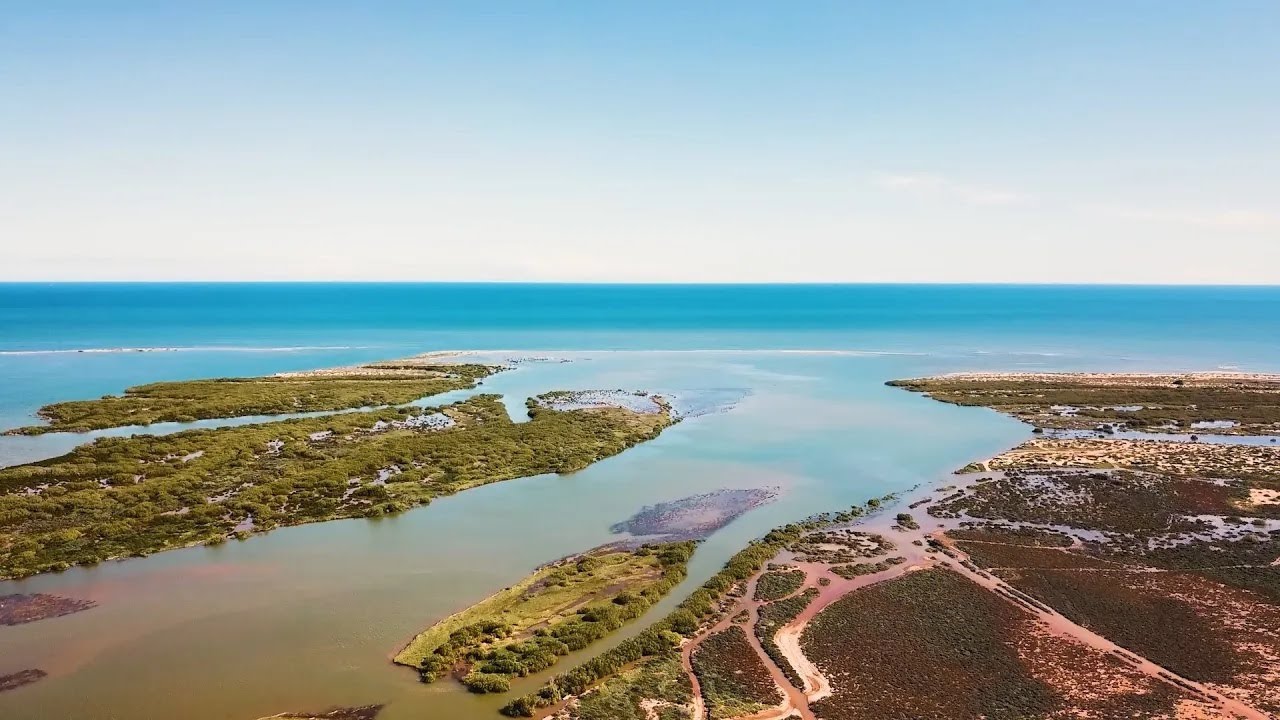 This is Carnarvon Horticulture - The Growers!