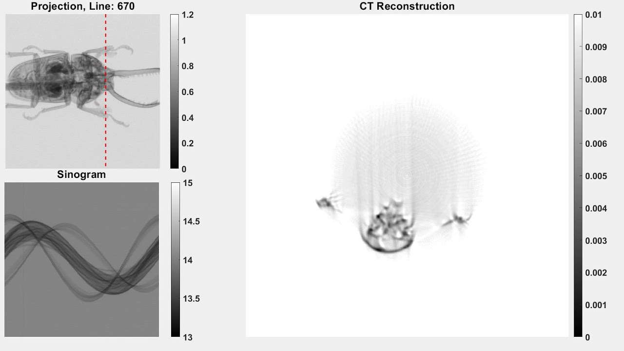 CT reconstruction of an insect 200 rotation steps - YouTube