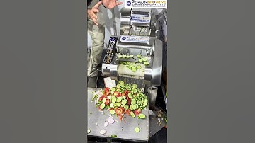 Vegetable cutting Machine | All in one cutting machine | Business idea  #shortsfeed #food#business