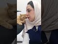 لكنه لا يبالي ، he doesn't care 😂 #cat #orangecat #viral #catsworld #catblogger