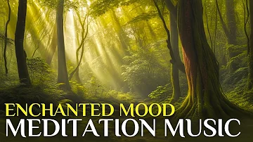 The Best relaxation Music | Healing Enchanted forest Frequencies | Raise Positive Vibrations