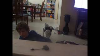 DSCF6107.AVI