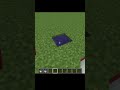 Color #minecraft #meme #gaming