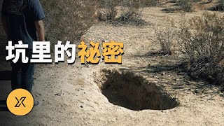 沙漠裡意外發現的祕密 | X調查